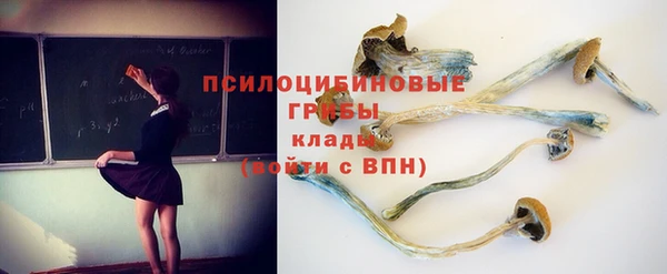 PSILOCYBIN Абинск