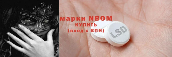 прущие грибы Новодвинск
