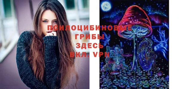 стафф Новокубанск