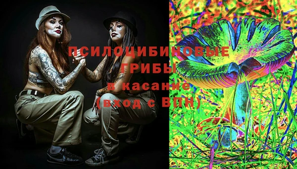 PSILOCYBIN Абинск