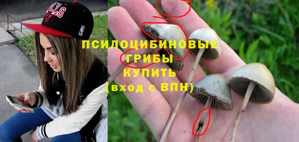 мескалин Абаза